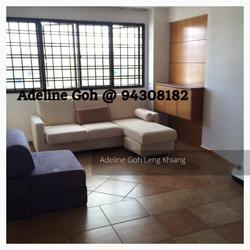 pipit-road photo thumbnail #6